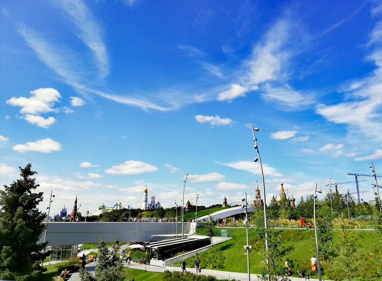 公園から見上げた空。ガラスの屋根が樹皮のように架かっている
