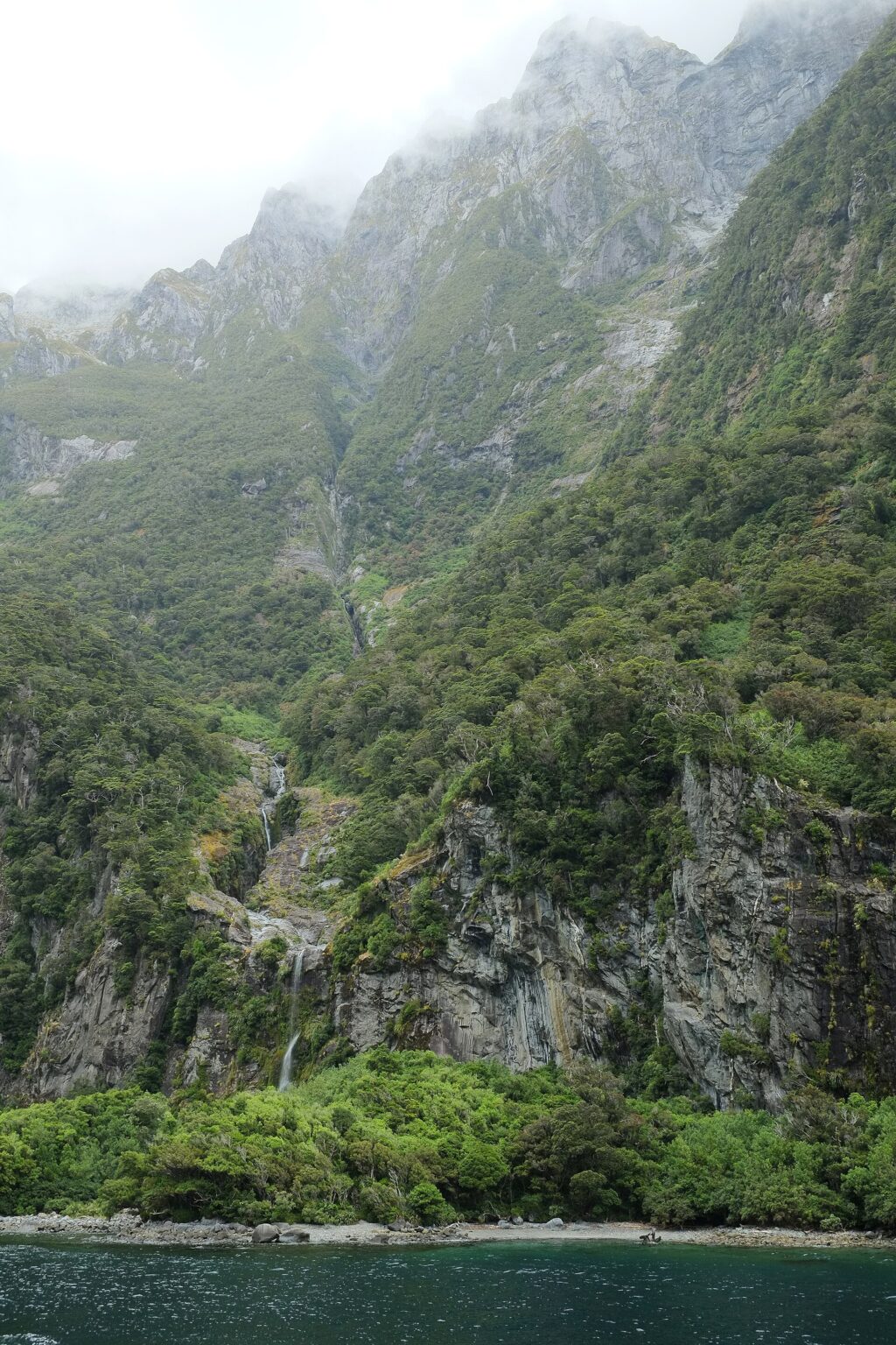 岩の割れ目。地殻変動の力がそのまま線になっている。