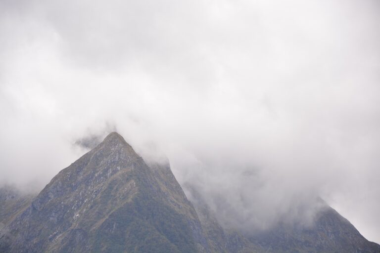 霧に隠れた山頂。標高1,000m以上は雲の中のことが多い。