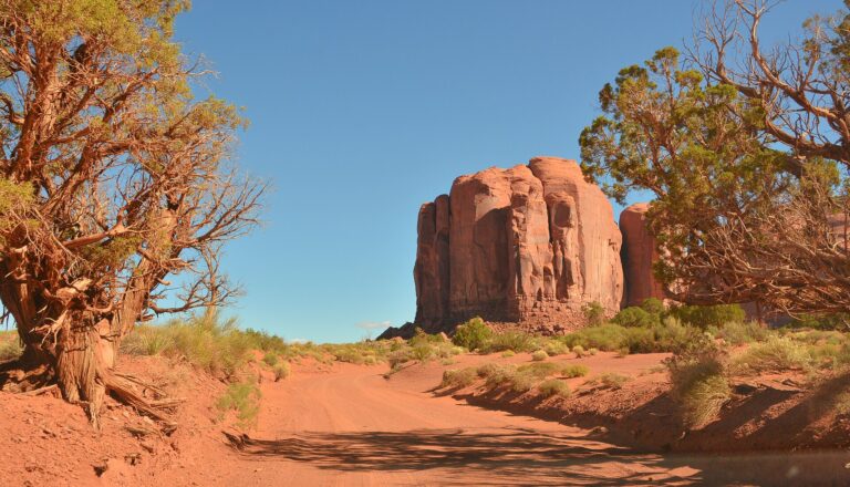 US-163沿いの光景。ここから先は完全な荒野。