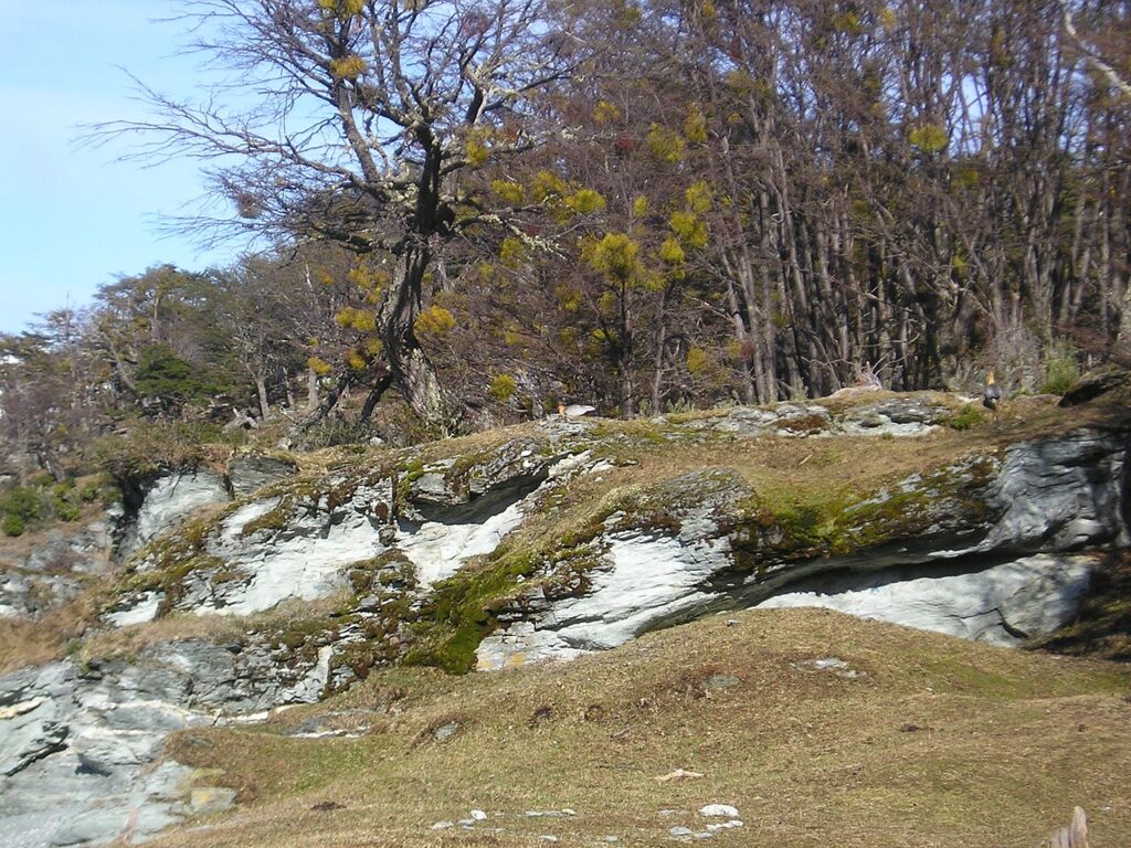 遊歩道で氷壁と向き合う。視点を変えて確かめる