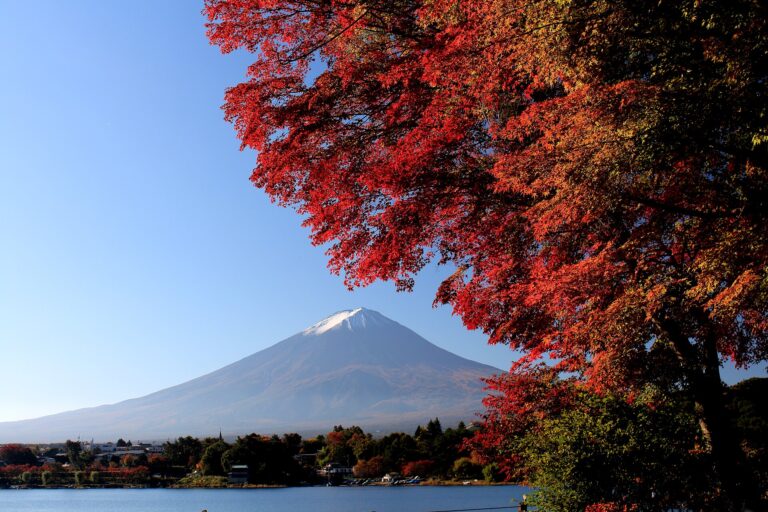 秋の紅葉と山