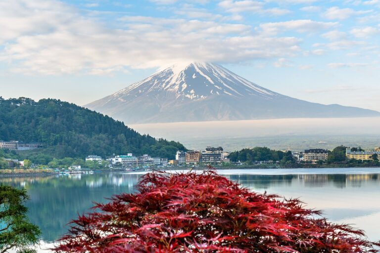 秋の湖畔。紅葉した木の赤が湖面に落ちる
