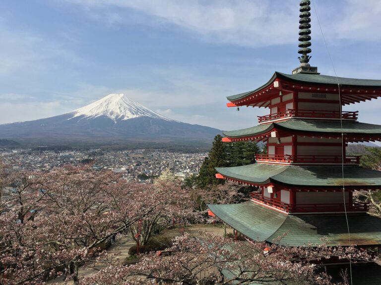 春。桜に囲まれた塔と山