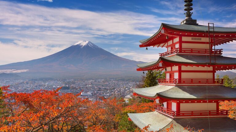 秋。紅葉した木と塔と街