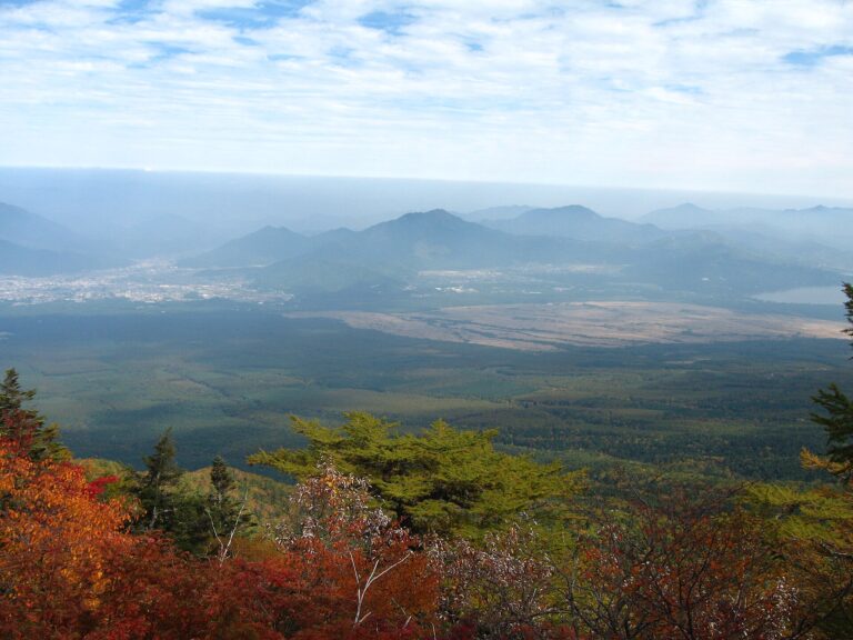 秋に五合目から見下ろした山麓の町
