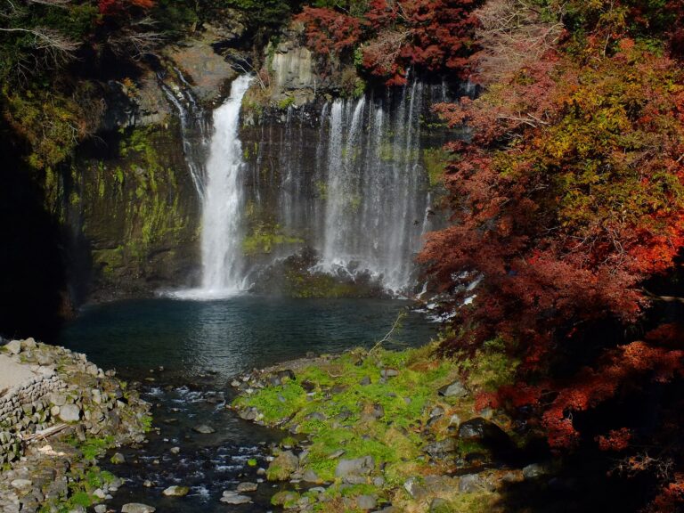 秋の滝。まわりの木が色づく
