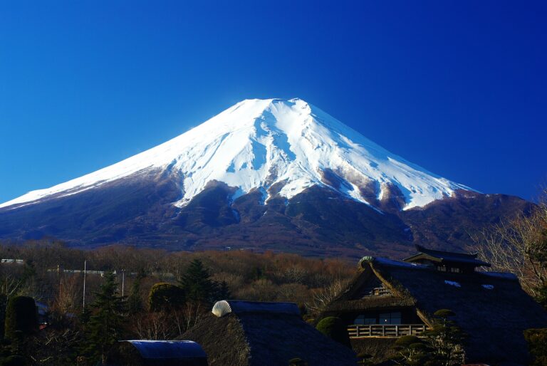 池ごしに見える山