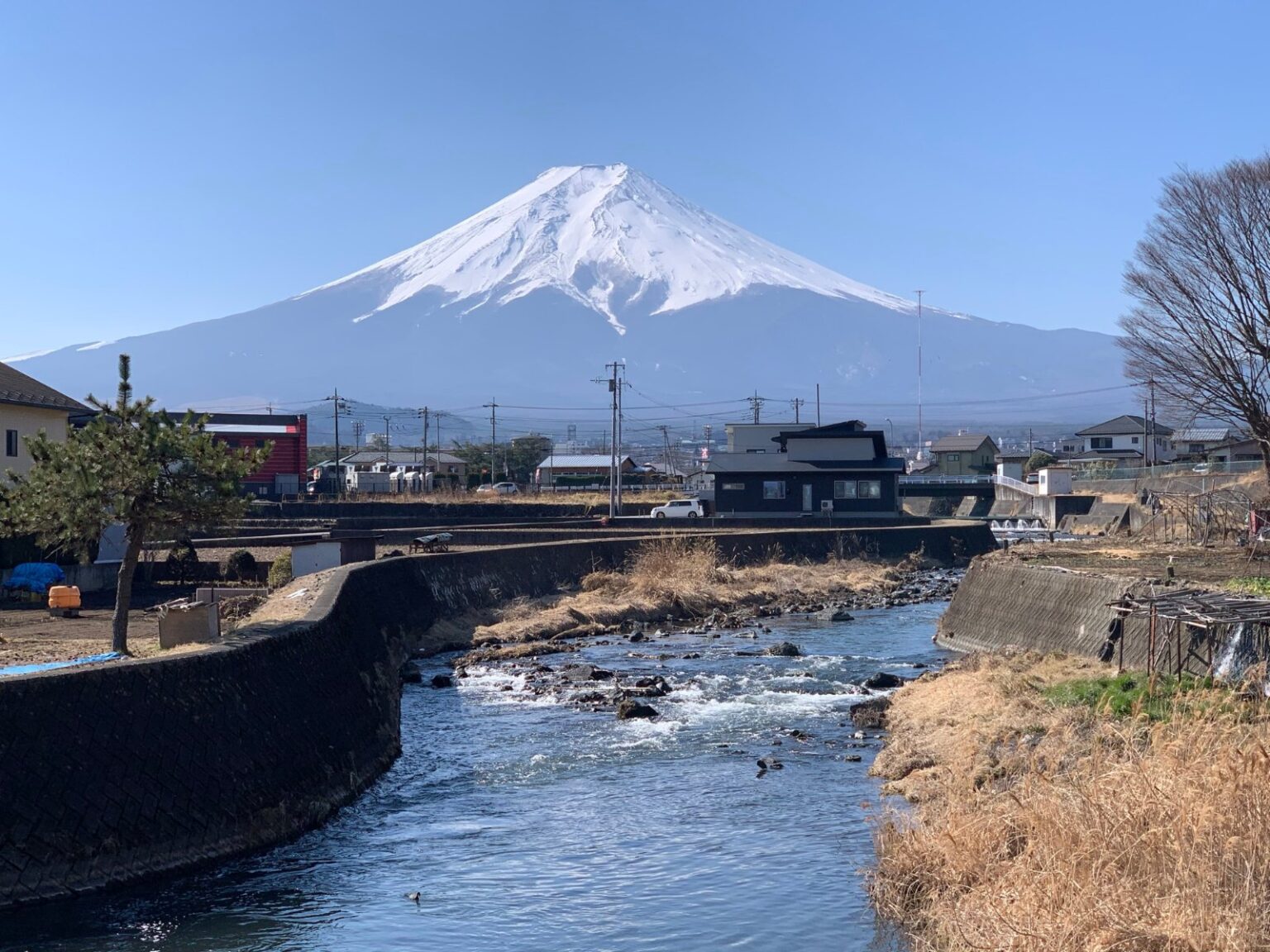 黄金いくら