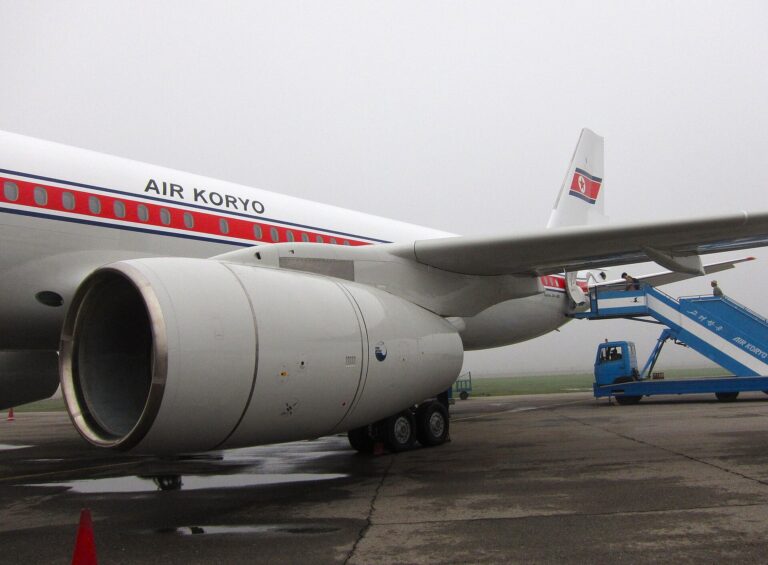 高麗航空機の胴体とエンジン