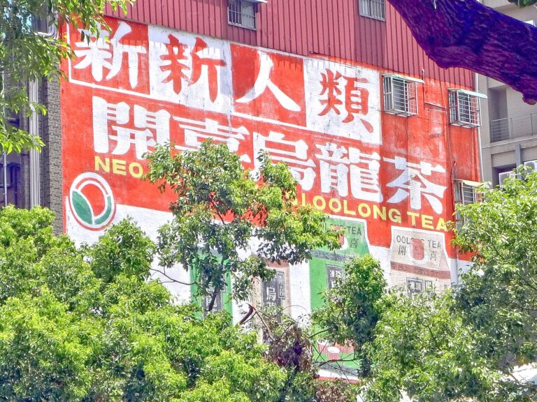 四季春茶
