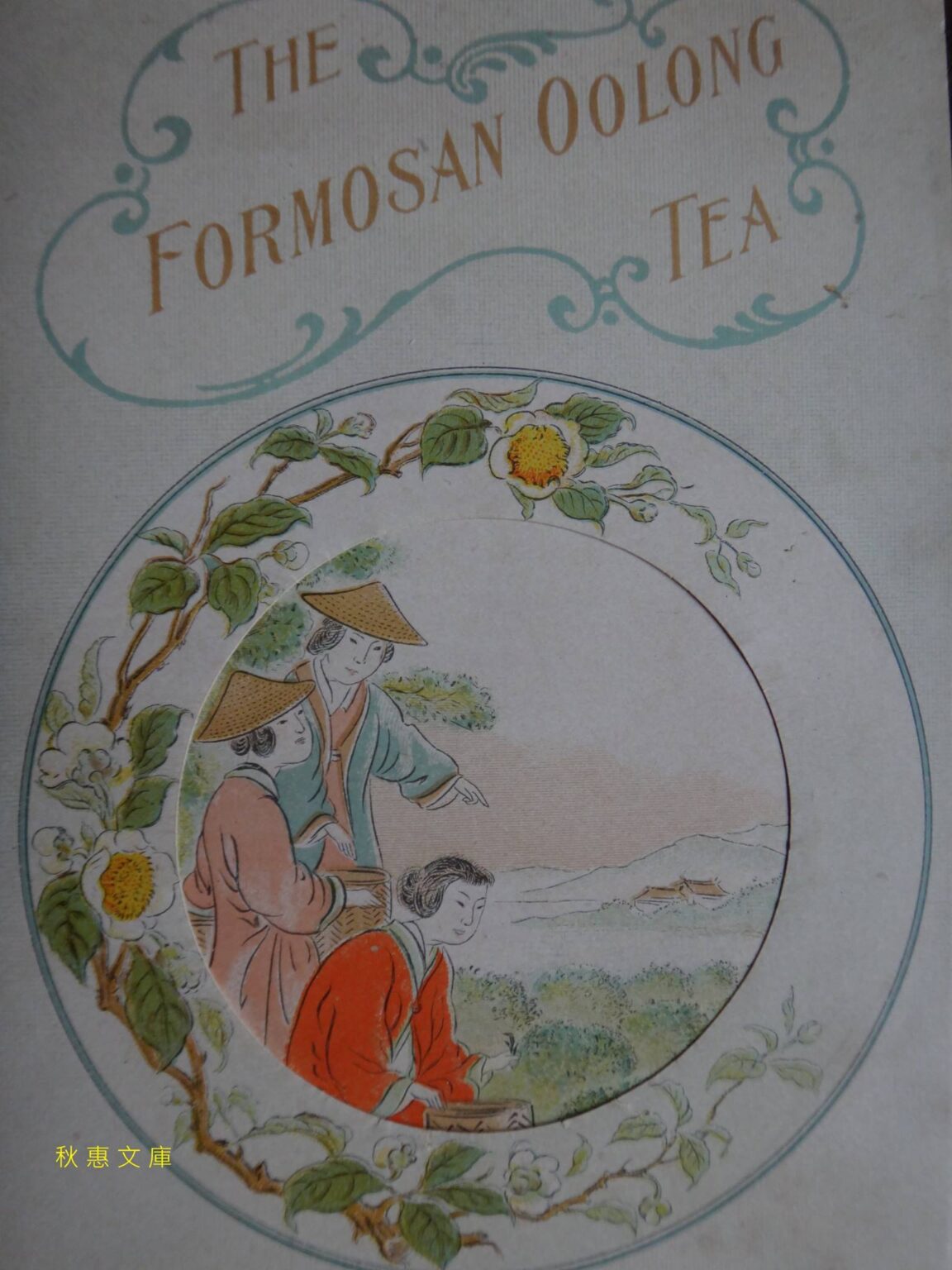 四季春茶