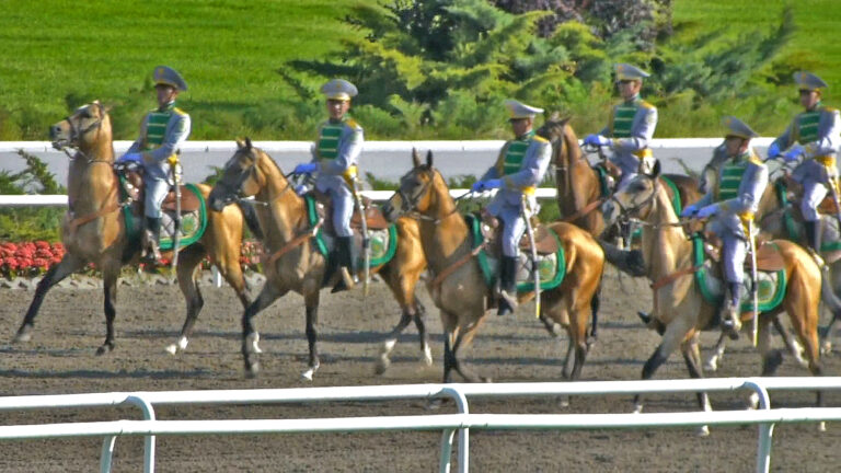 競技場を走るアハルテケ馬