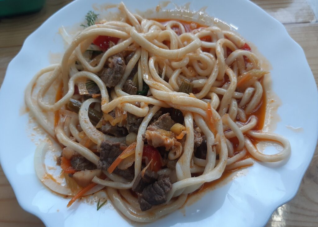 肉の入った太麺の料理