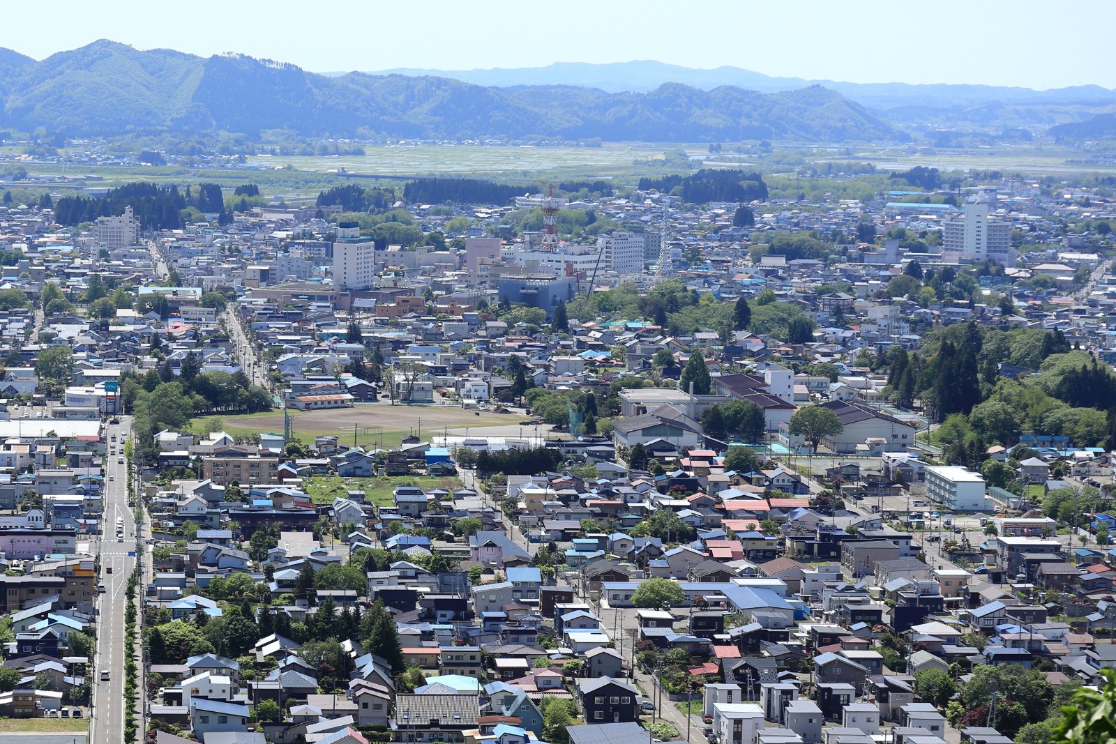 とんぶり