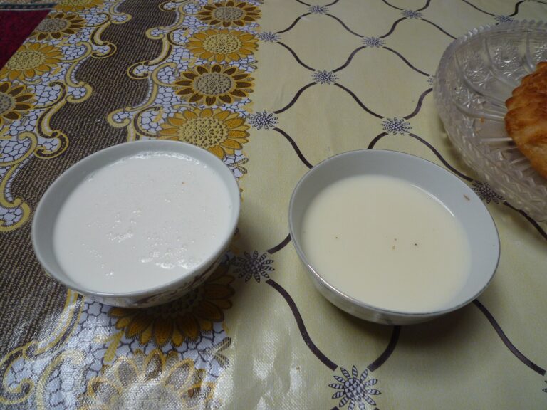 乳の発酵飲料