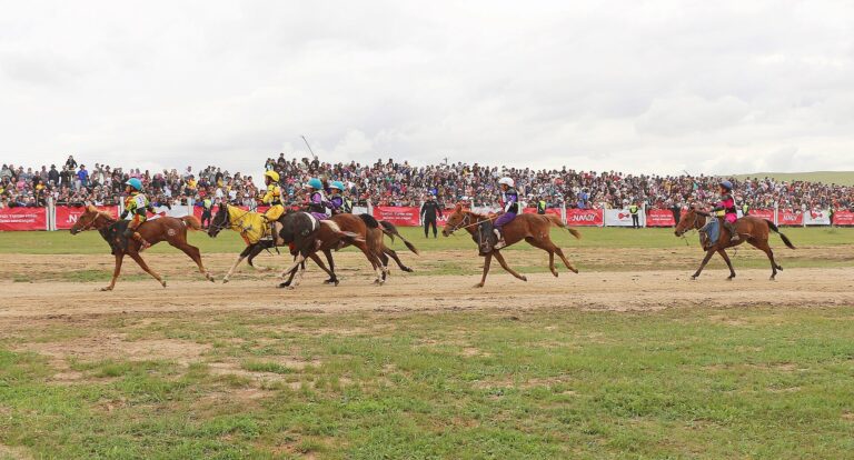ナーダムの競馬