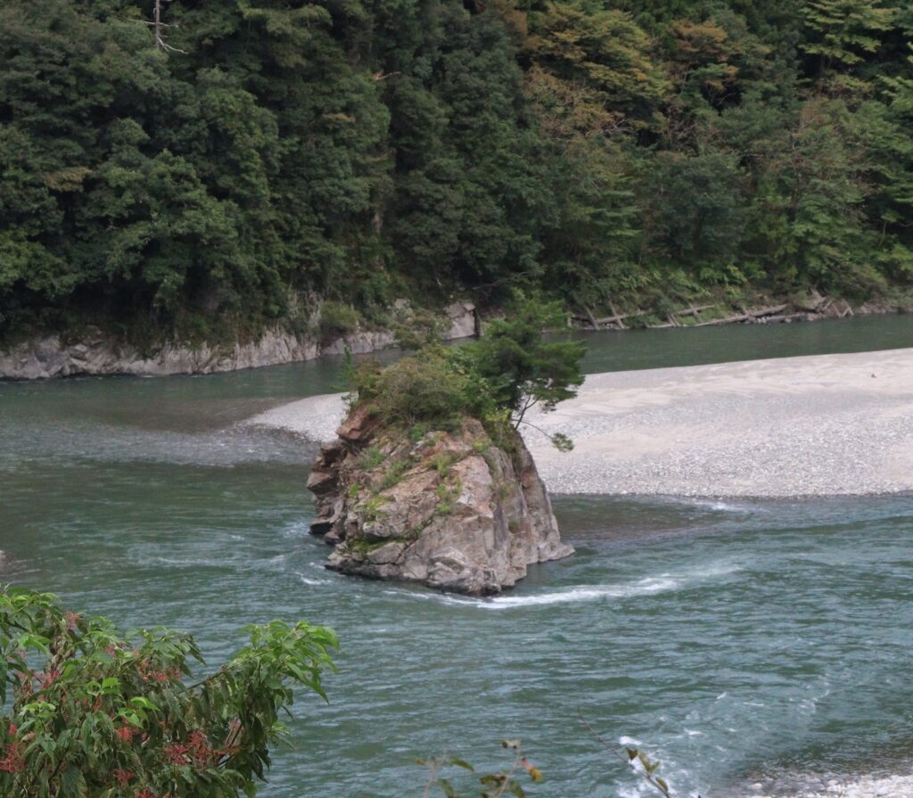 ざざむし