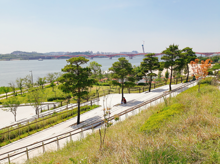 望遠漢江公園の景色