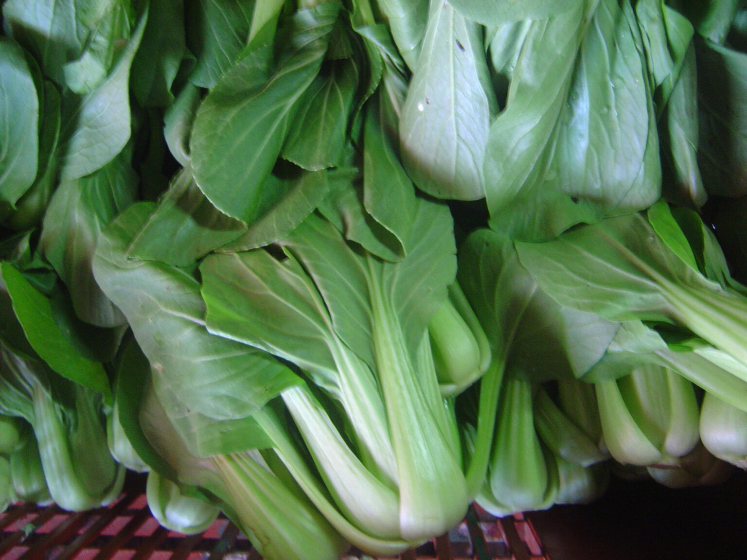 市場に並んだ青梗菜のようなブレッド（葉野菜）の束