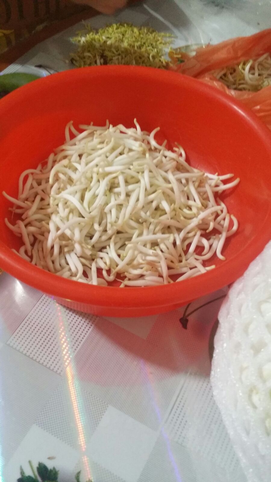 赤いボウルに入ったもやし