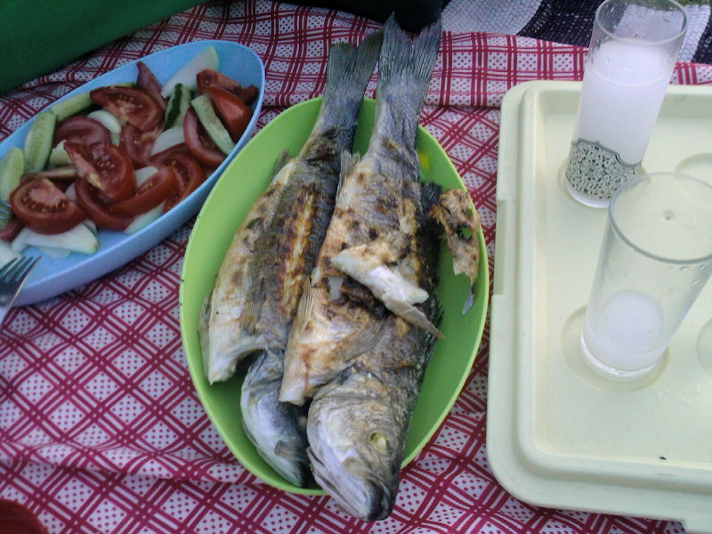 白く濁ったラクのグラス2つと焼き魚・トマトとキュウリのサラダ、屋外のテーブル