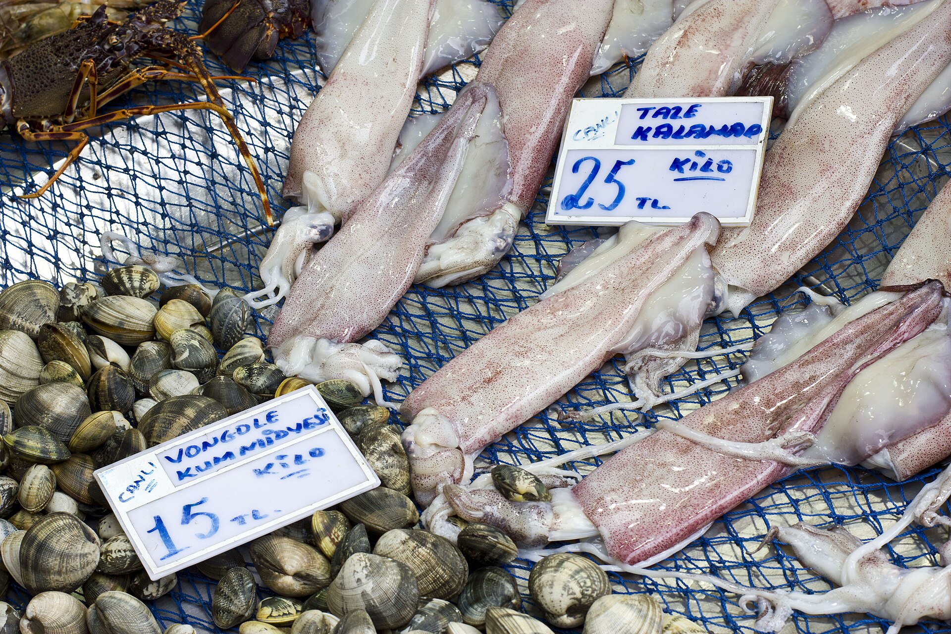 カドゥキョイの魚市場の台、イカとアサリに手書きの値札