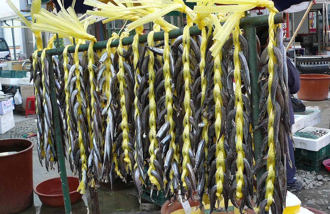 吊るして乾かす魚。完成した切り身の前の工程。