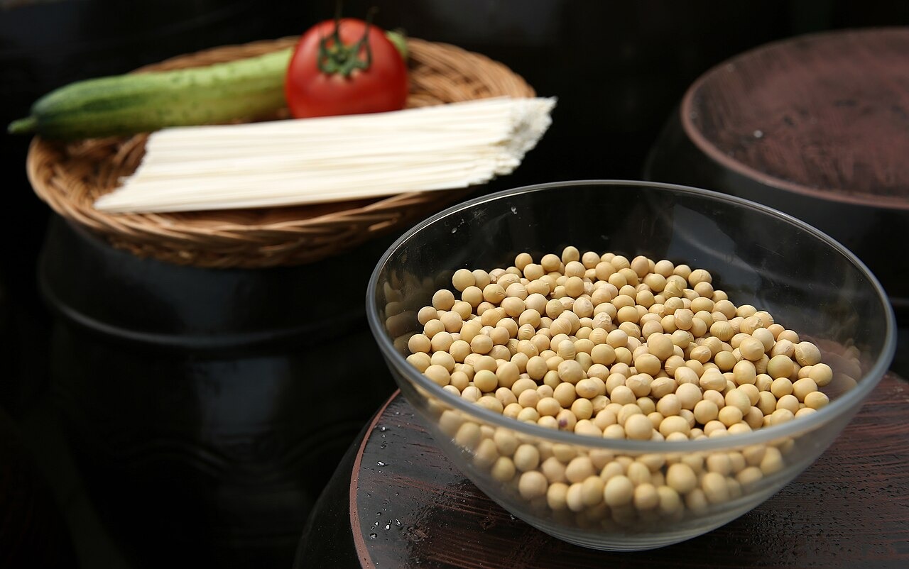 豆の麺に使う材料。完成した器になる前の段階。