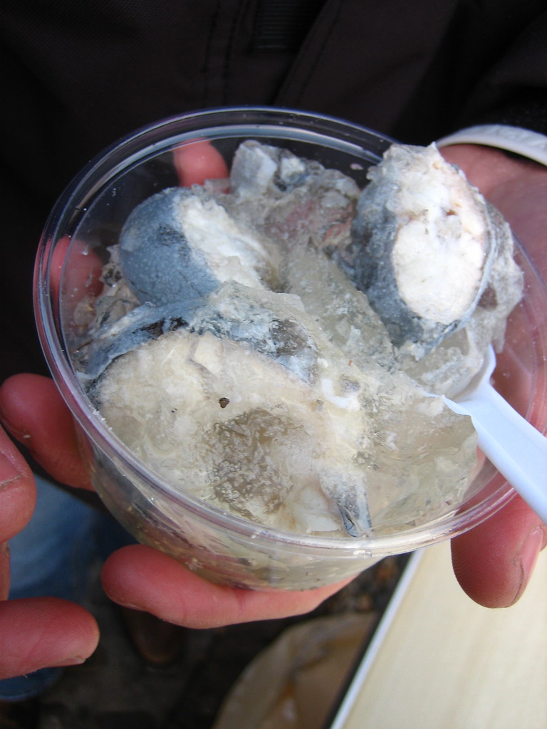 プラスチックのカップに入ったジェリード・イールを手に持つ