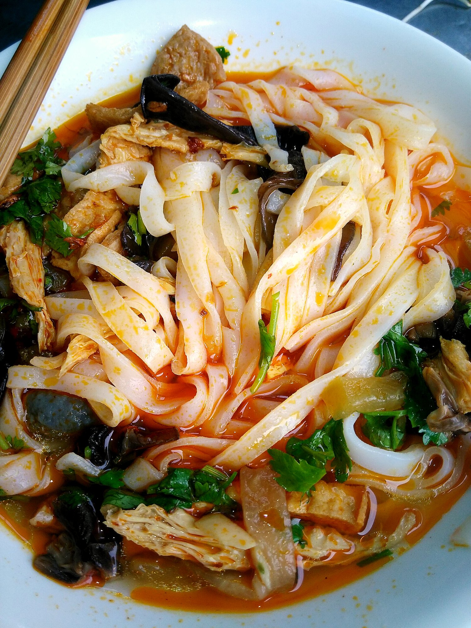 平たい麺に揚げ湯葉、きくらげ、香草。肉を使わない精進の一杯