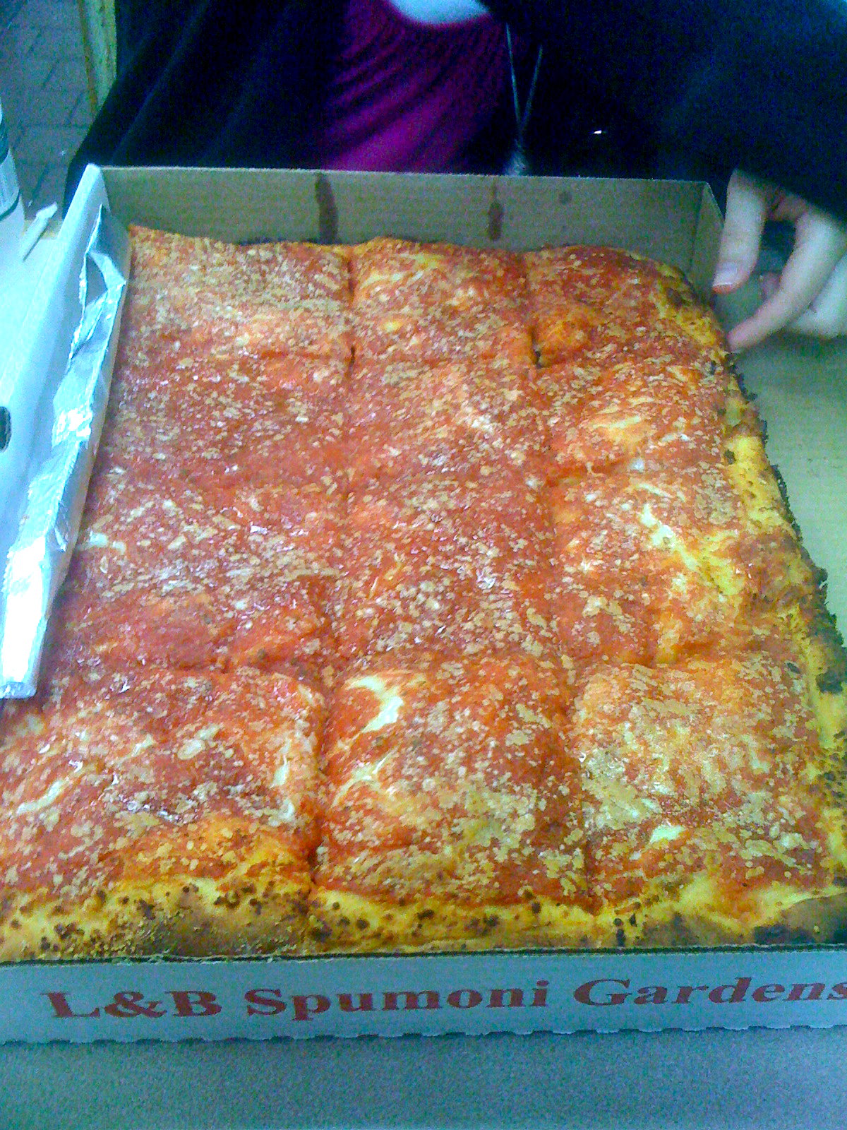 L&B Spumoni Gardens の箱に入った1枚まるごとのスクエア・ピザ