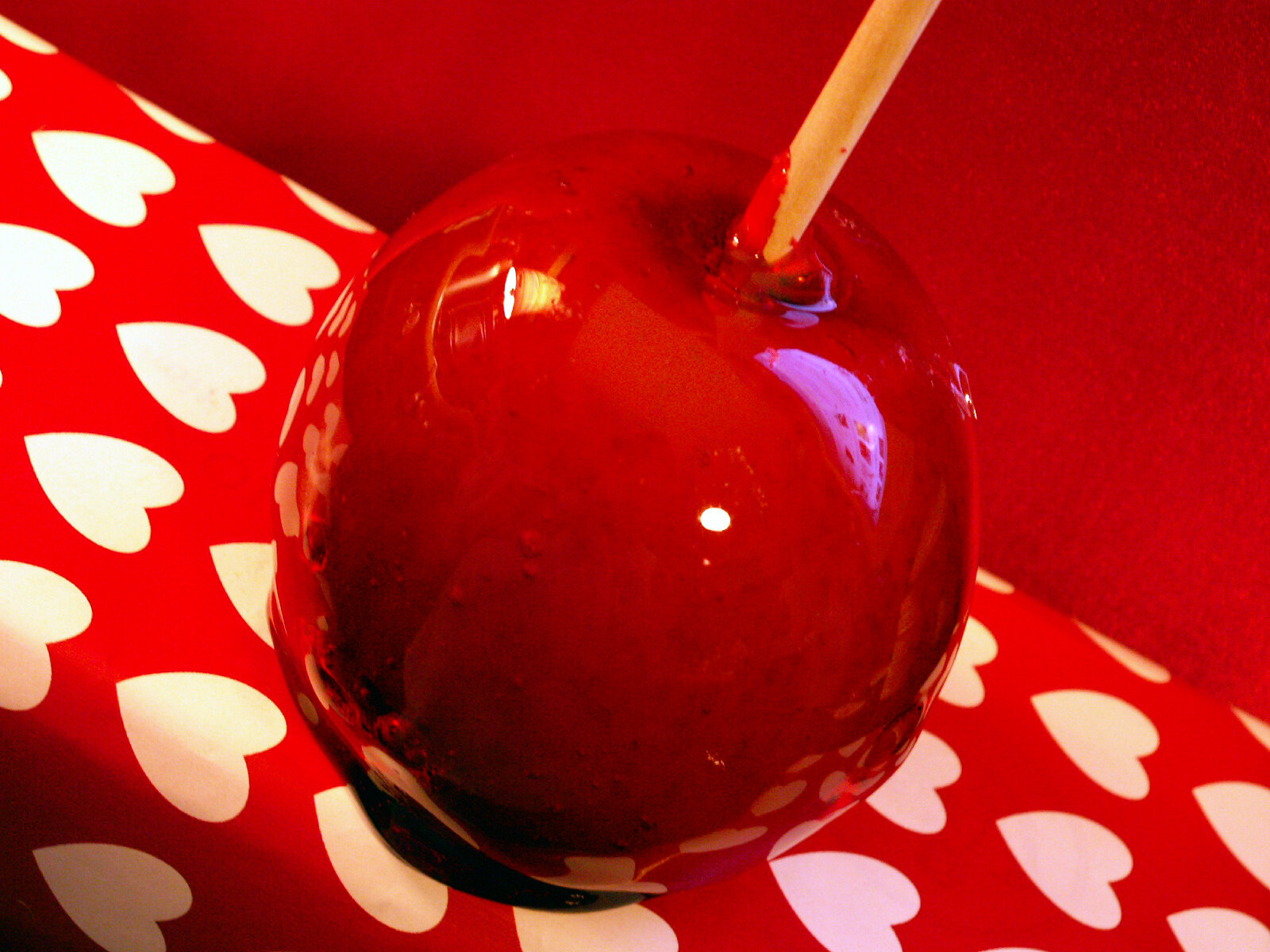 ハート柄の赤い紙の上の、つやのある真っ赤なキャンディ・アップル1個