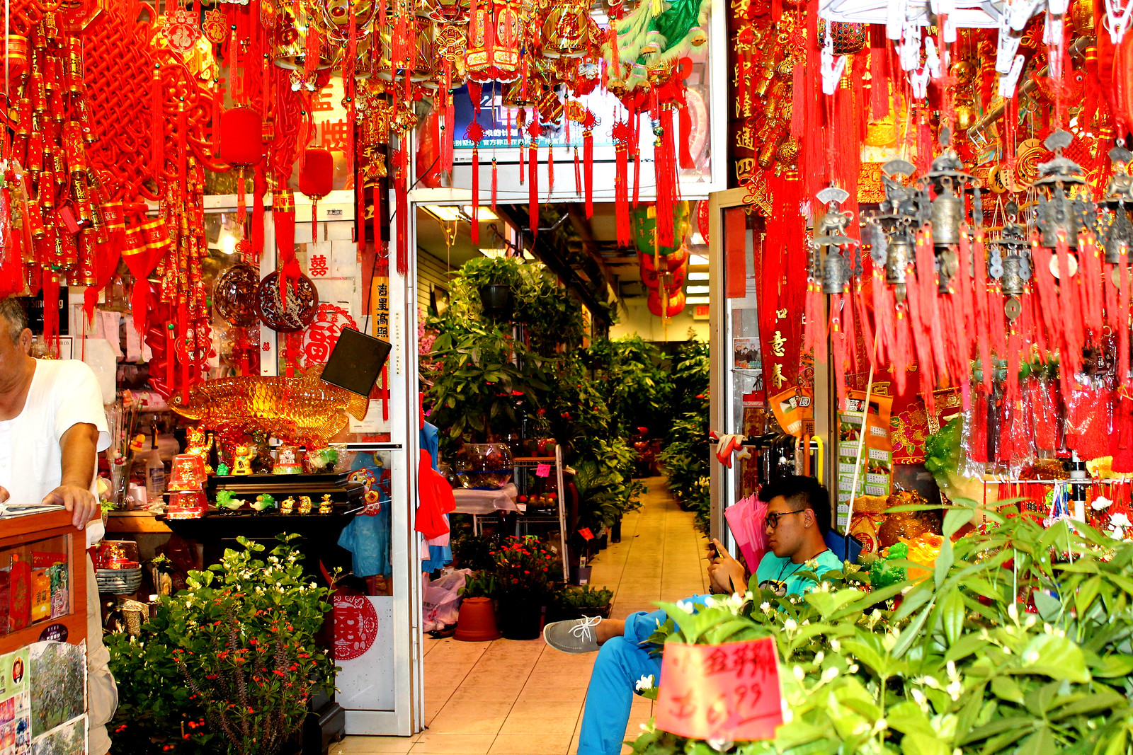 フラッシングの中国系商店の店先、赤い飾りと植木