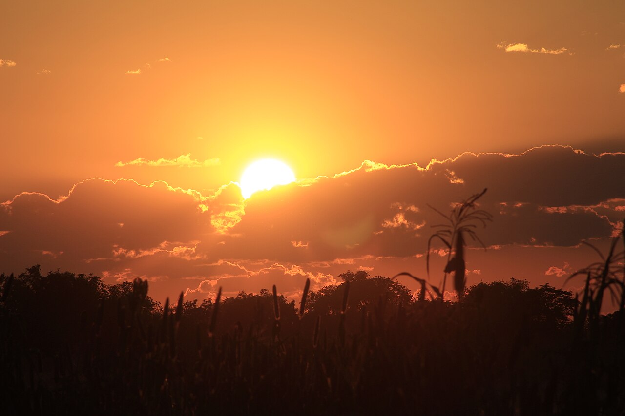 ナミビア北部のトウジンビエ畑の向こうに沈むオレンジ色の夕日