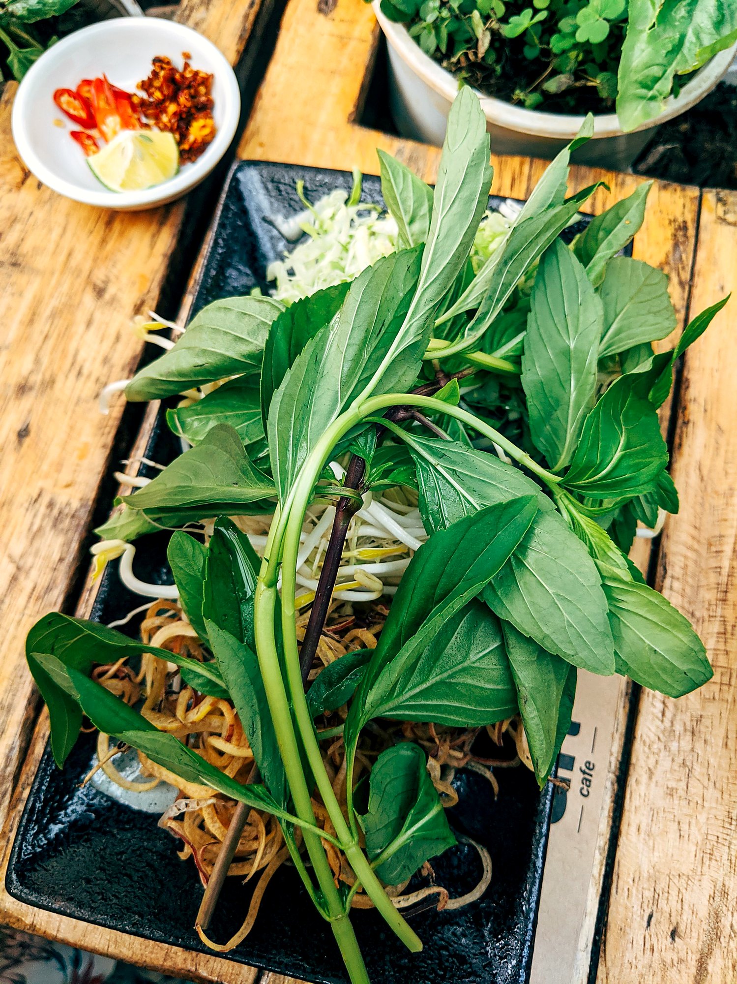 皿に山盛りになったバジルなどの生の香草