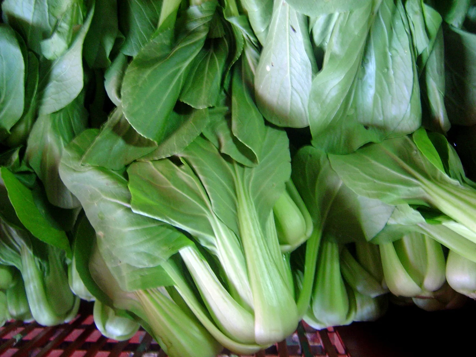 市場に並んだ青梗菜のようなブレッド（葉野菜）の束