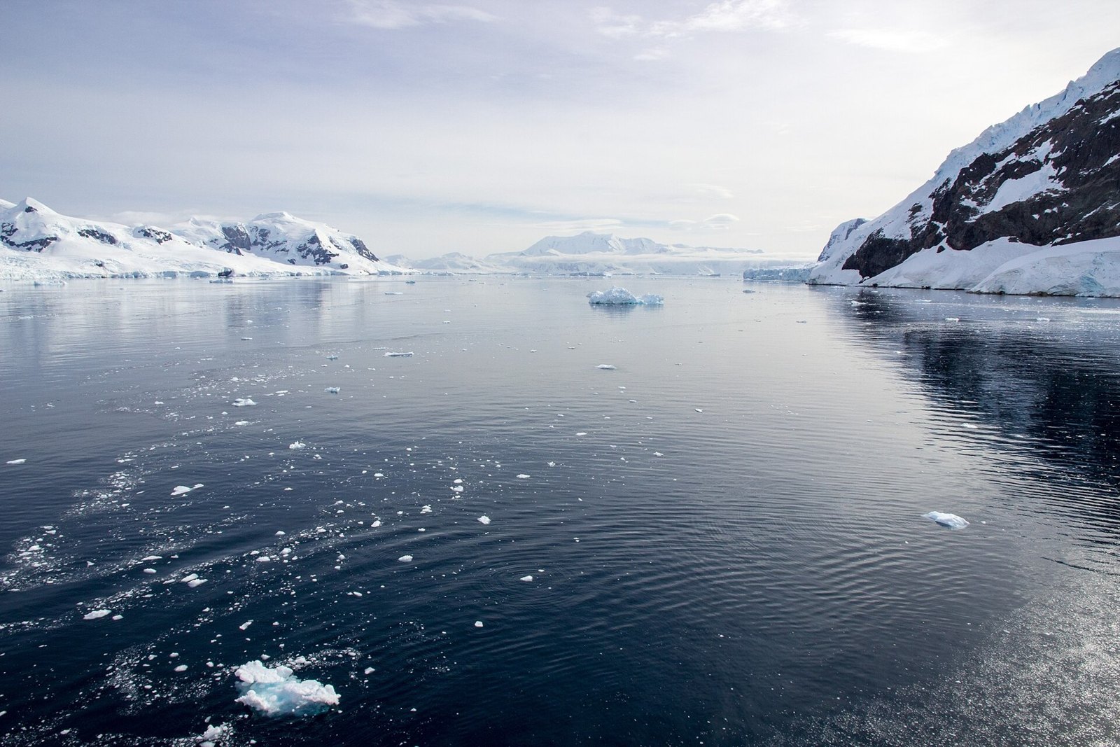 ネコ・ハーバーの湾と氷河（2019年）。大陸本土への上陸候補地の一つ。
