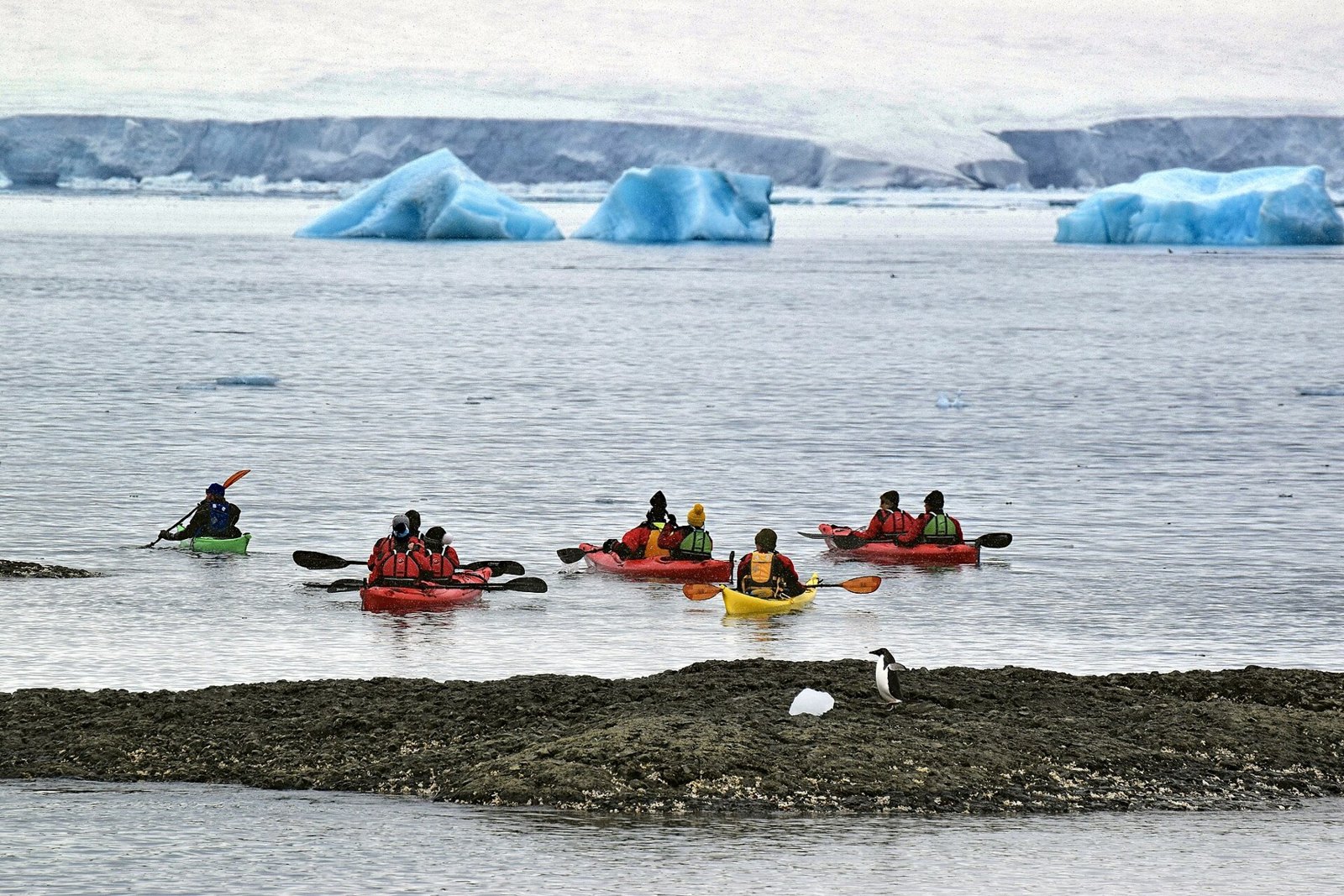 ブラウン・ブラフ付近でのカヤック（2016年）。水面に近い目線で景色を楽しむ活動の例。