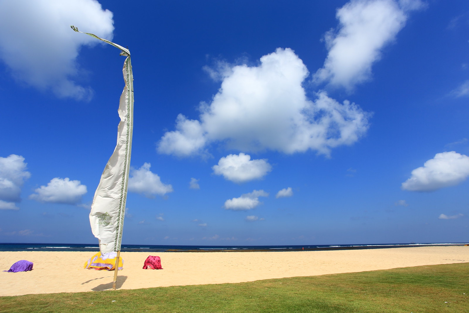 青空の下にはためく海辺の旗