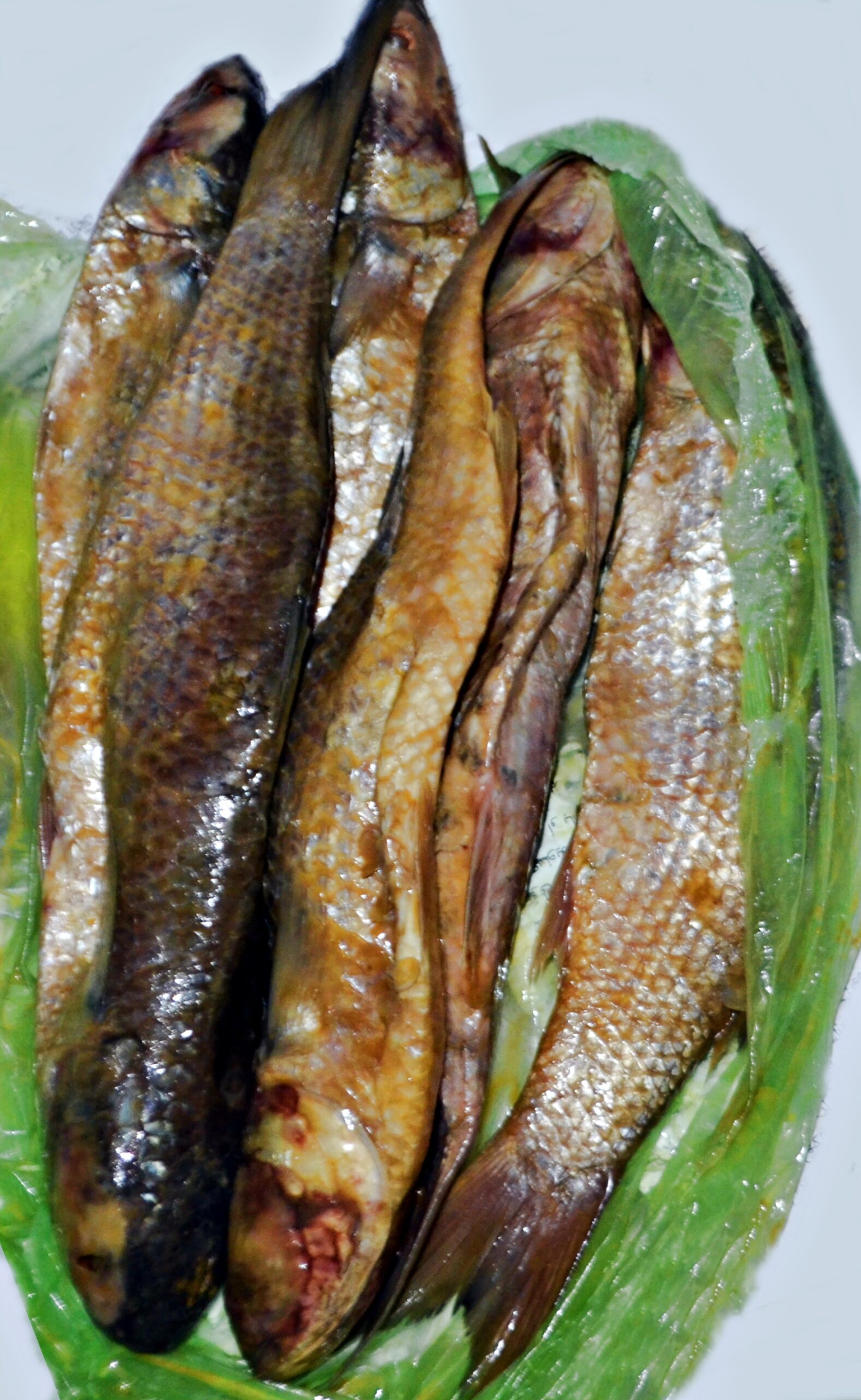 フェシーフの作例。完成した塩漬け発酵魚を並べた姿です。