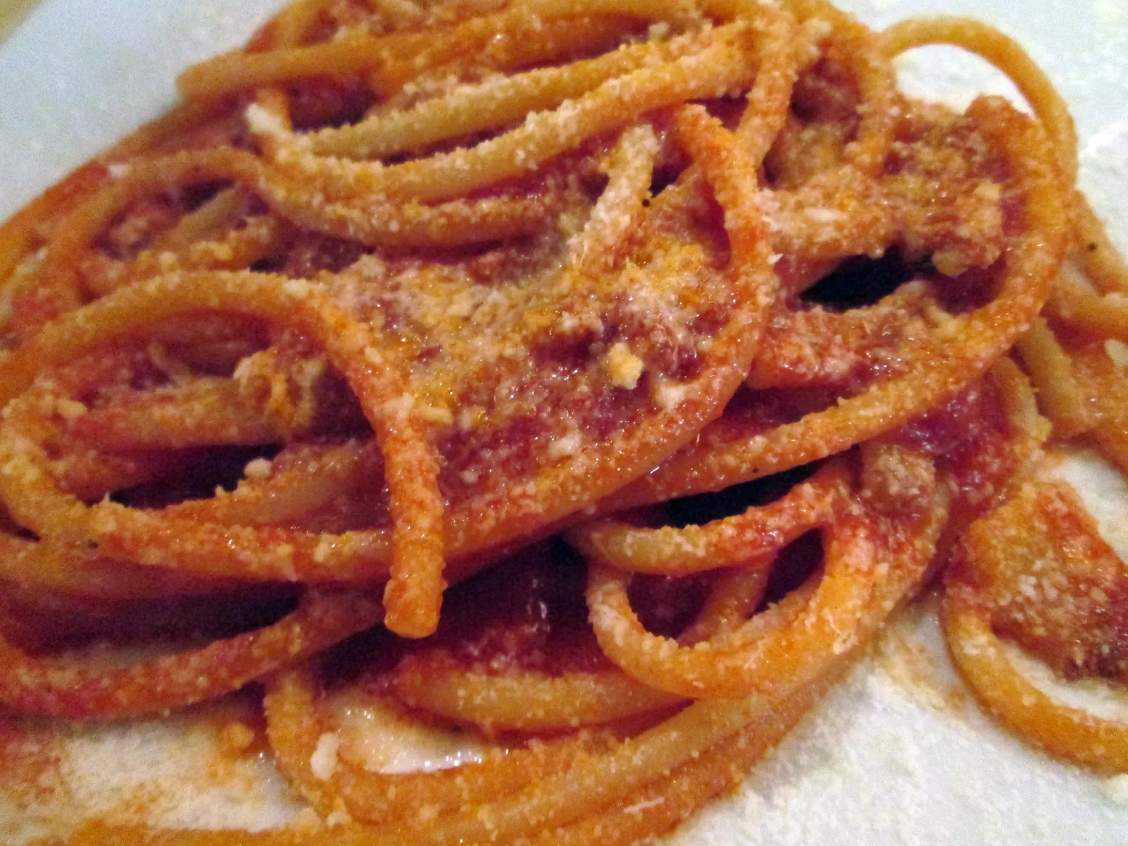 アマトリチャーナの接写。トマトソースをからめたロングパスタにペコリーノを振った一皿