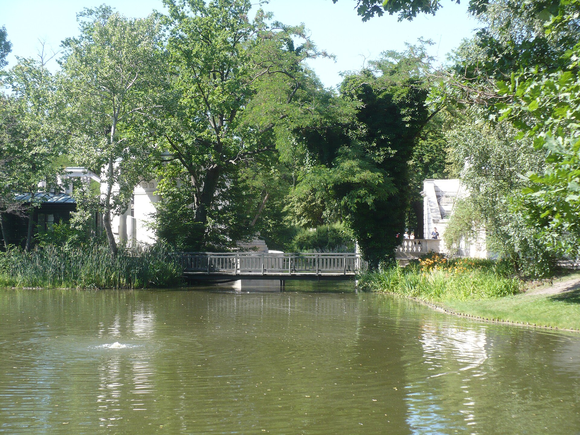 ワジェンキ公園の水辺