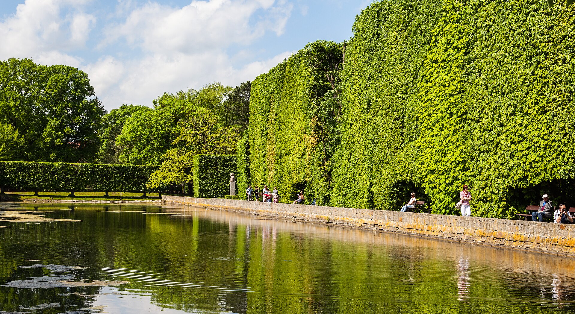 オリヴァ公園の水辺